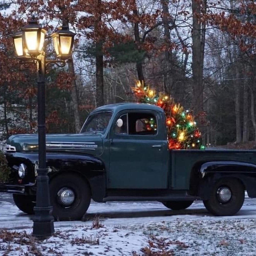 Meet your Posher, Joey